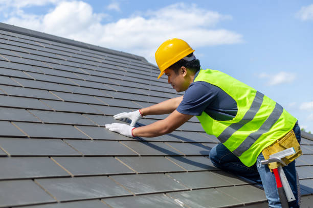 Best Roof Gutter Cleaning  in Valenti, NE