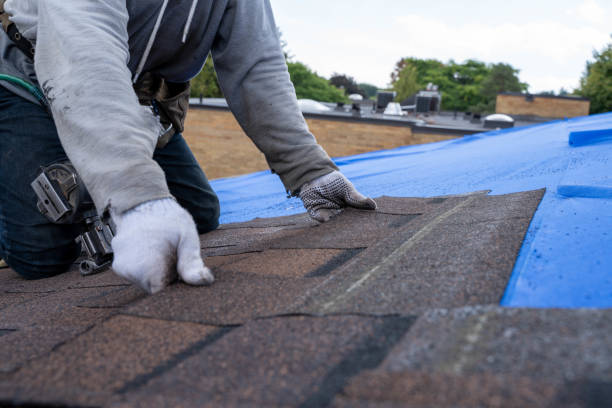 Best Flat Roof Repair Services  in Valenti, NE