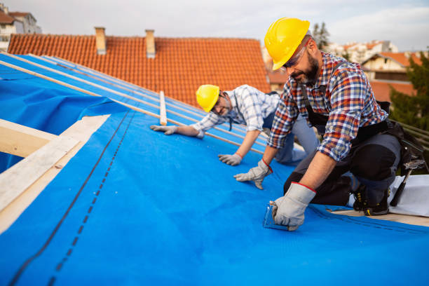 Best Storm Damage Roof Repair  in Valenti, NE