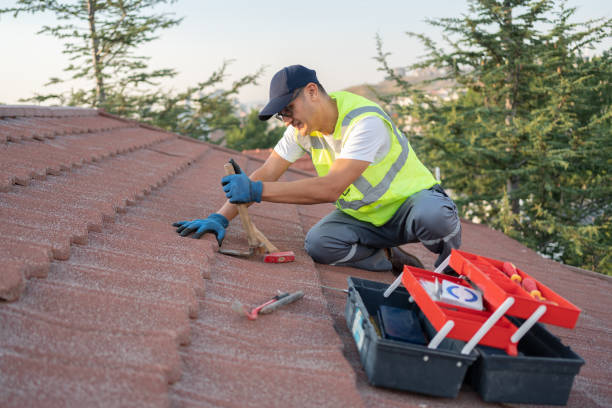 Best New Roof Installation  in Valenti, NE